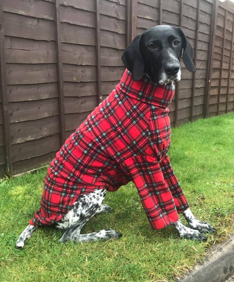 Polar fleece on sale dog jumpers